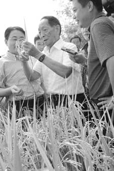 解决13亿人口吃饭问题_中国成功解决13亿人口吃饭问题