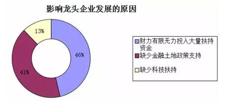 收入证明_农民收入来源调查报告(3)