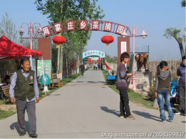中国人民公社的标杆:周家庄(图10)
