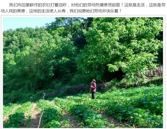 民风淳朴的蓝田县蓝桥乡圪塔庙村(图30)