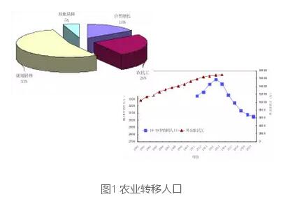蔡昉:探索金融服务小农是死胡同(图1)