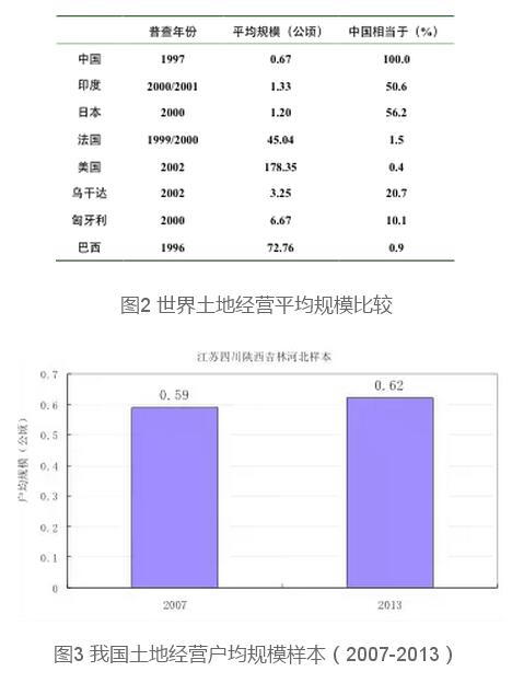 蔡昉:探索金融服务小农是死胡同(图2)