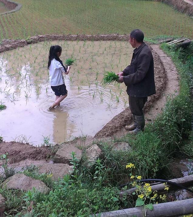 最淳朴的乡亲们:原始春耕(图30)