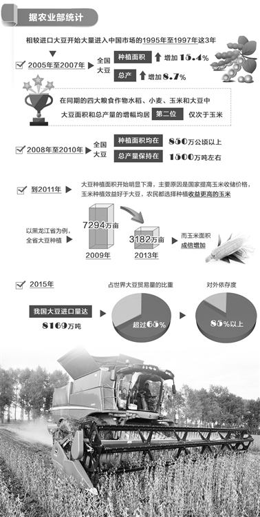 关注国产大豆振兴:提单产、破重围(图1)