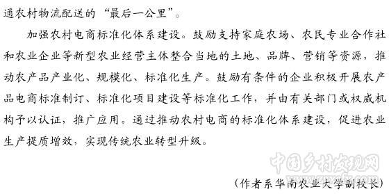 温思美:电商进村还需迈过多道坎(图3)
