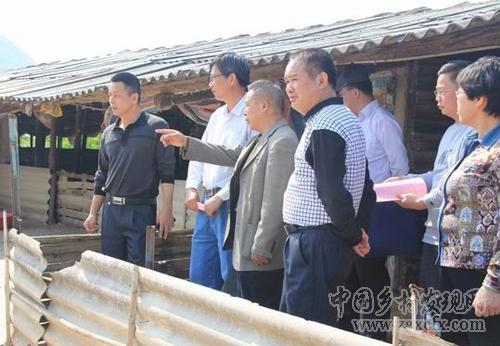 三,小众特色家庭养殖业.jpg
