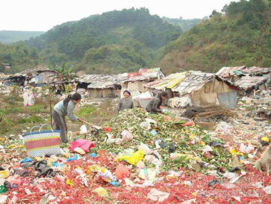 垃圾围村、田佳良事件与国民性改造(图9)