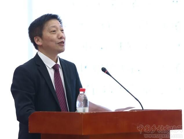 陈文胜:在决胜全面小康中推进乡村振兴(图1)