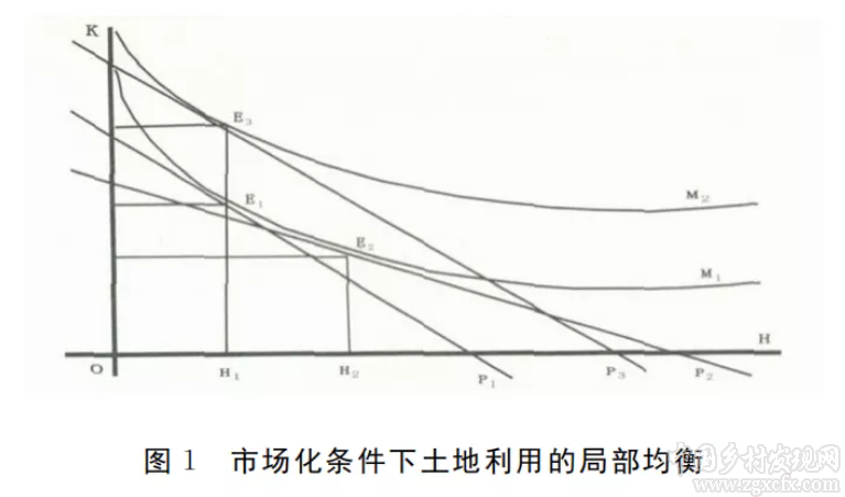 党国英:农用地交易价格应由市场决定(图1)
