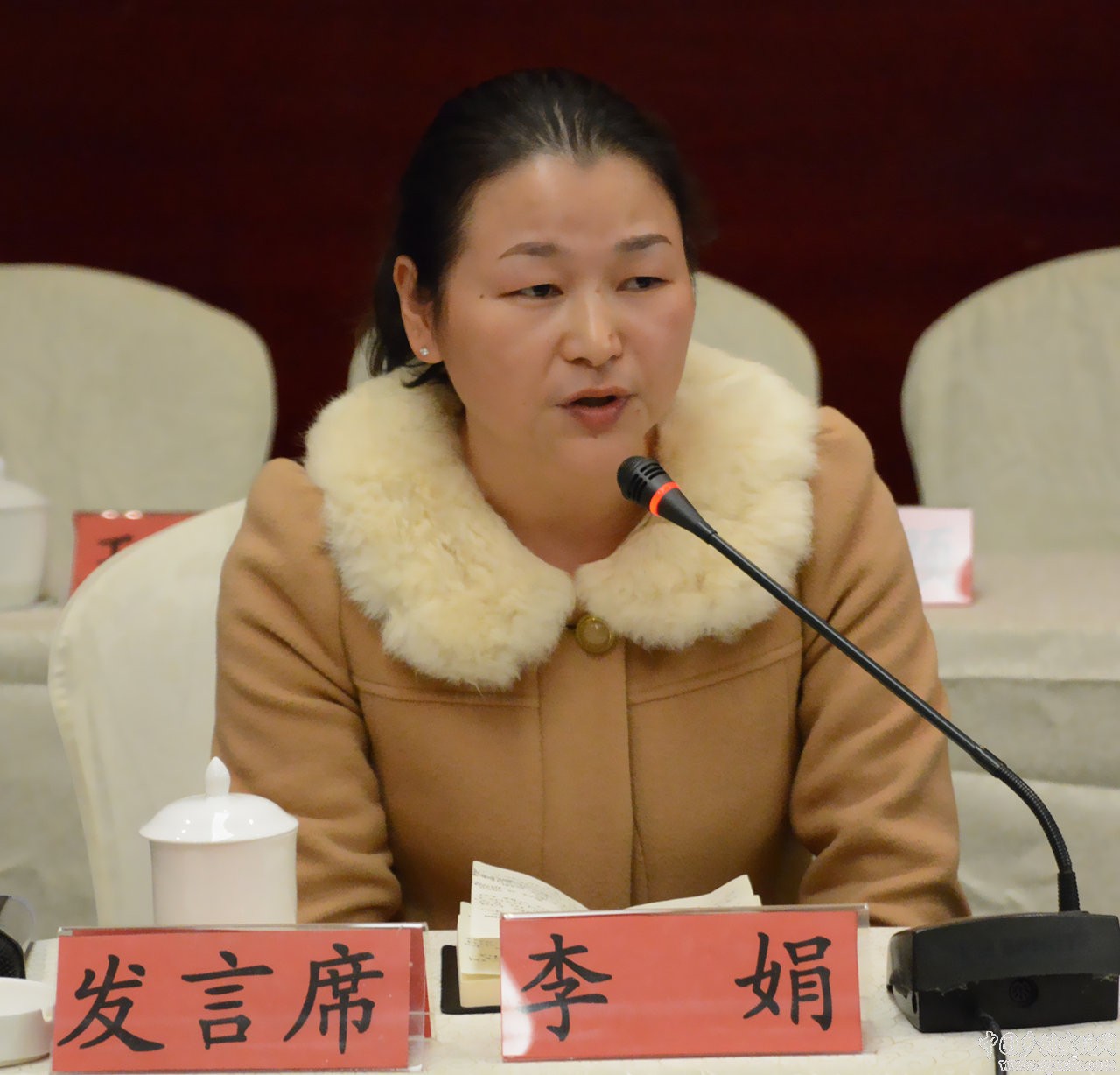 李娟:规范农村土地流转,探索土地经营权抵押登记