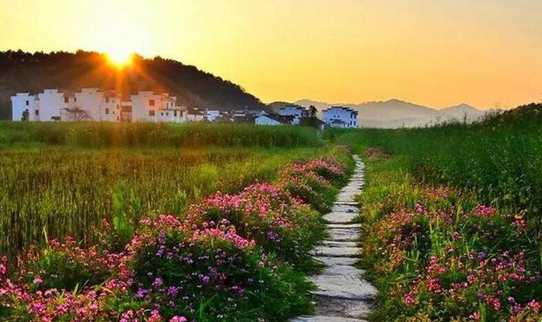 湖北乡村的魅力(图18)