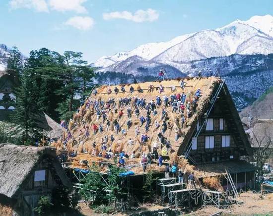 日本最美小村 旅游规划最佳借鉴案例 ！