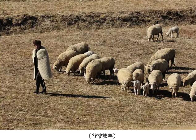 我是个住在小山村里的乡下人，不要嫌弃我(图43)