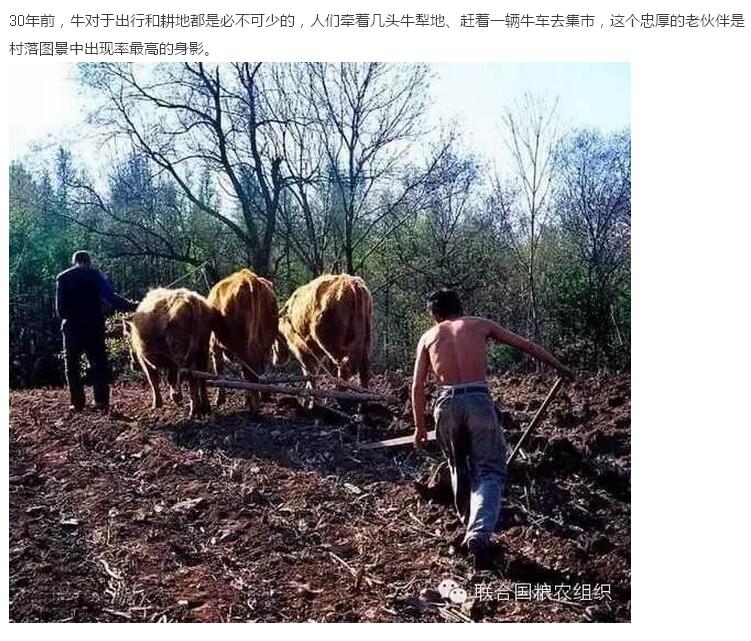 30年前的中国村落(图3)