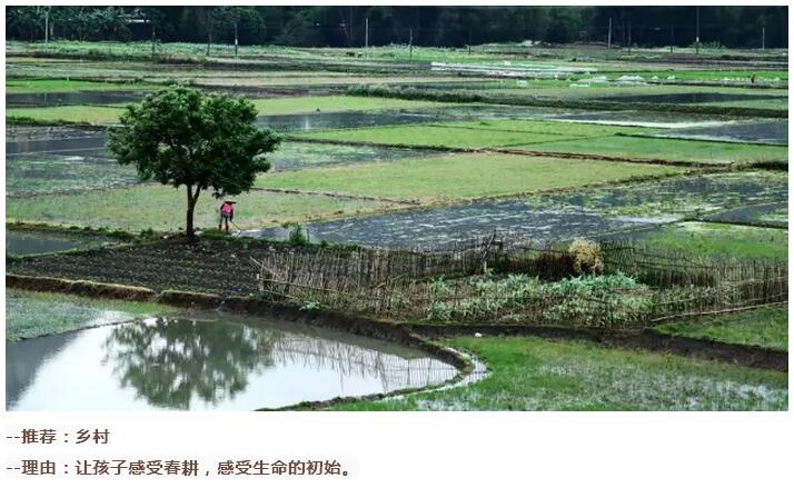谷雨前后的乡村(图6)