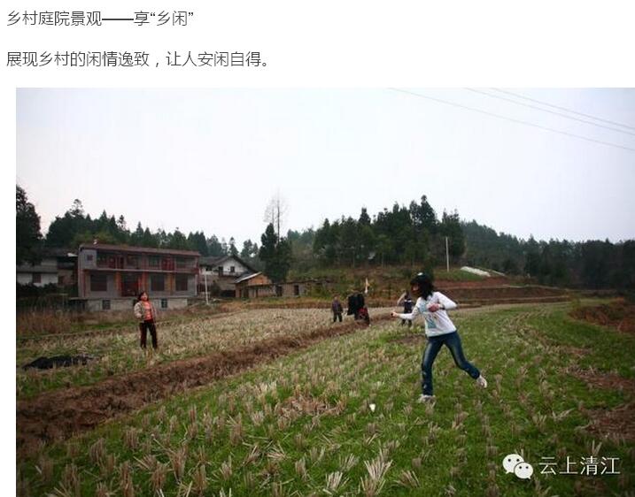 乡村够美才记得住乡愁(图14)
