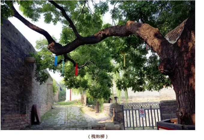 当千年古堡遇上乡村美学(图7)