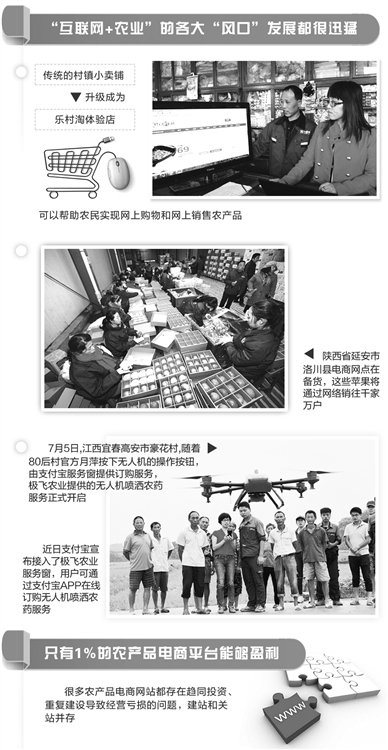 农产品电商的“风”会往哪吹(图1)