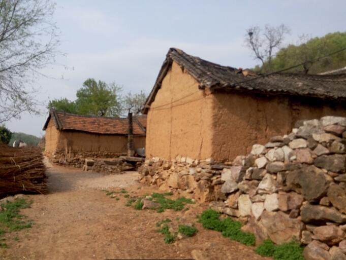 即将消失的农村美景(图3)