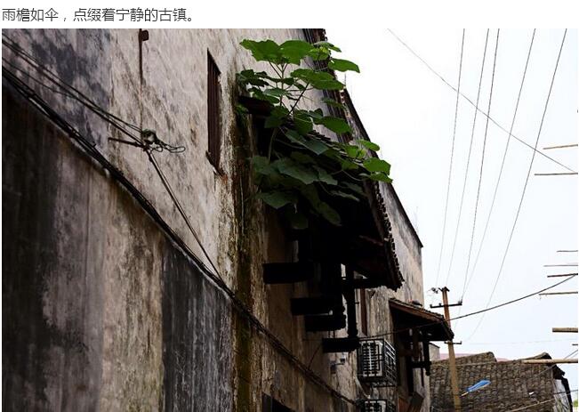 龙溪古镇(图26)
