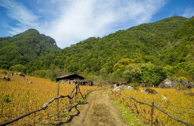 秦岭令人心酸的深山房屋(图1)