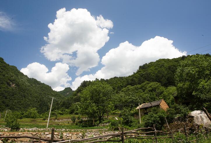 秦岭令人心酸的深山房屋(图4)