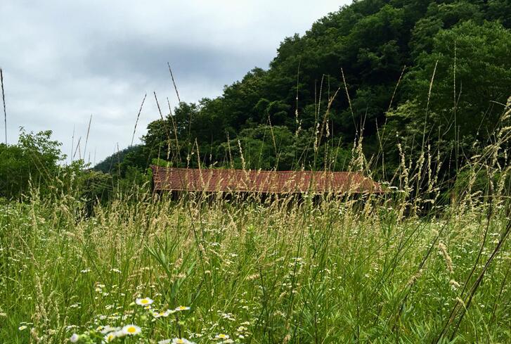 秦岭令人心酸的深山房屋(图17)