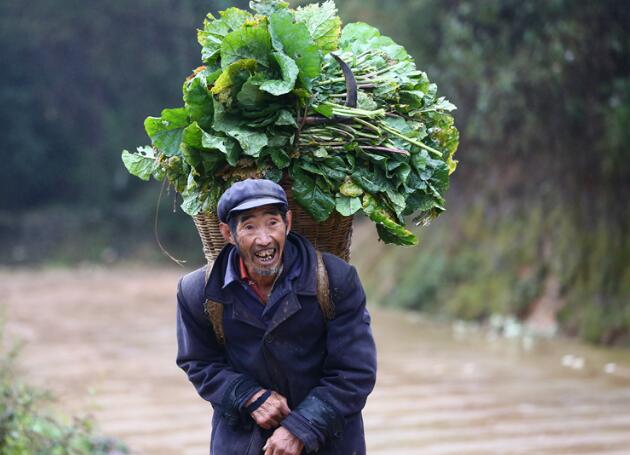 生活在大山包深处最原始的蘑菇村(图14)