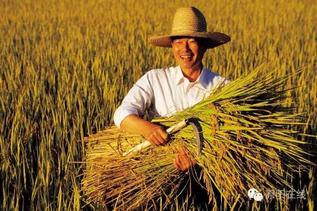 现代化的农民很幸福(图1)