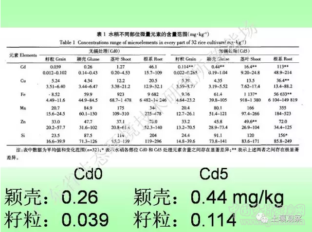 陈能场:从镉超标到痛痛病的距离(图12)