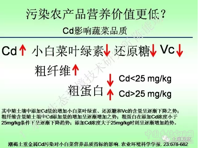 陈能场:从镉超标到痛痛病的距离(图19)