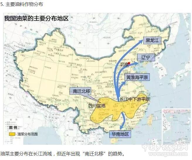 瞿卫国:中国农业地理地图及各地区农业发展特色分析(图9)