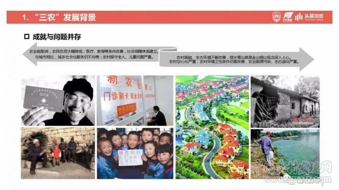 乡村振兴战略发展研究及舆情分析报告(图7)