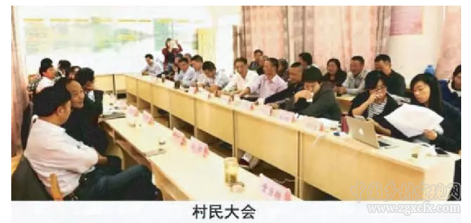 乔鑫等:乡村振兴的网络途径及其实践探索(图11)