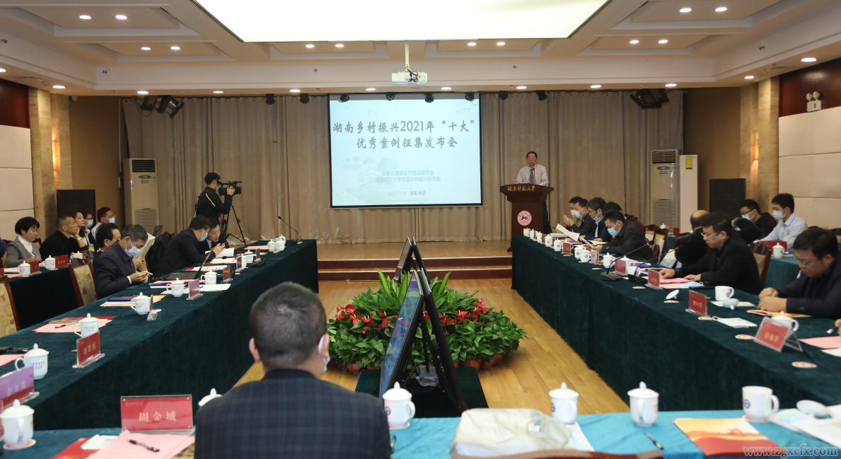 “湖南乡村振兴2021年优秀案例征集”发布会在湖南师大举行(图1)