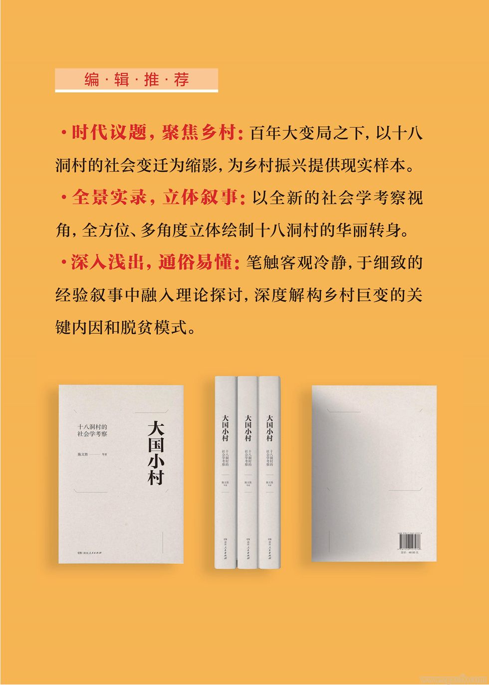 《大国小村》线上购书(图3)