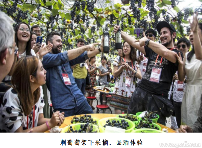 微信截图_20220916181951.png