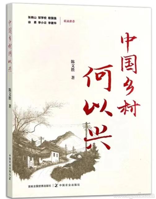 中国乡村何以兴.jpg