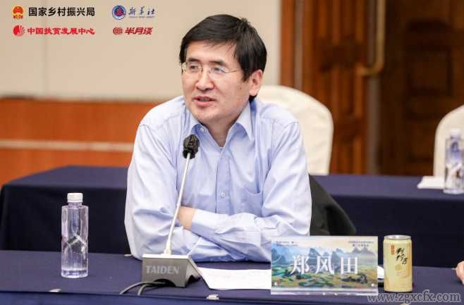 从脱贫攻坚到乡村振兴，靠得住的“中国经验”(图20)