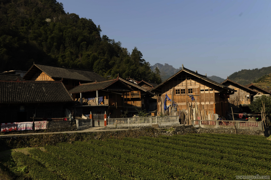 武吉海:“四村”调查的缘起与感悟(图2) 2.png