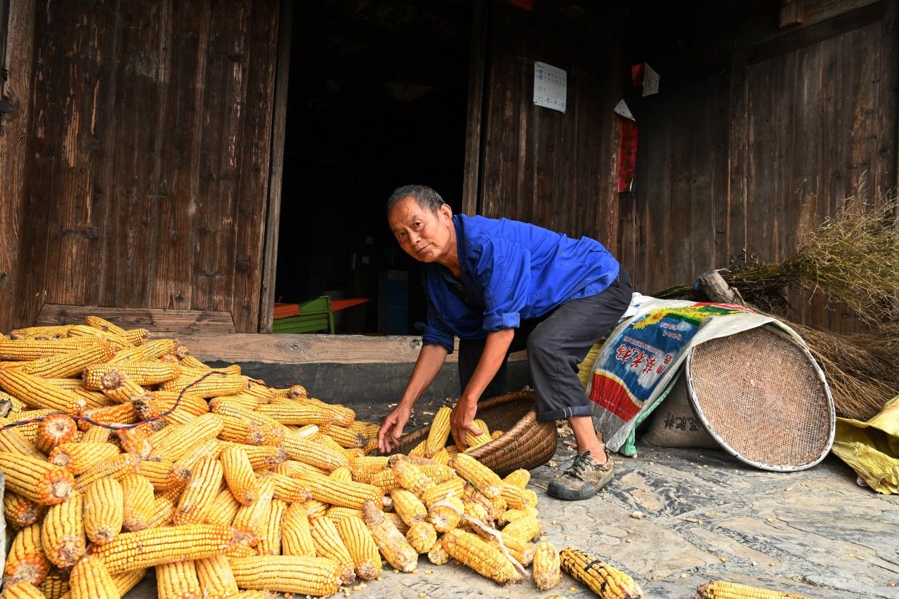杨泰波:对农村调查的看法(图1)