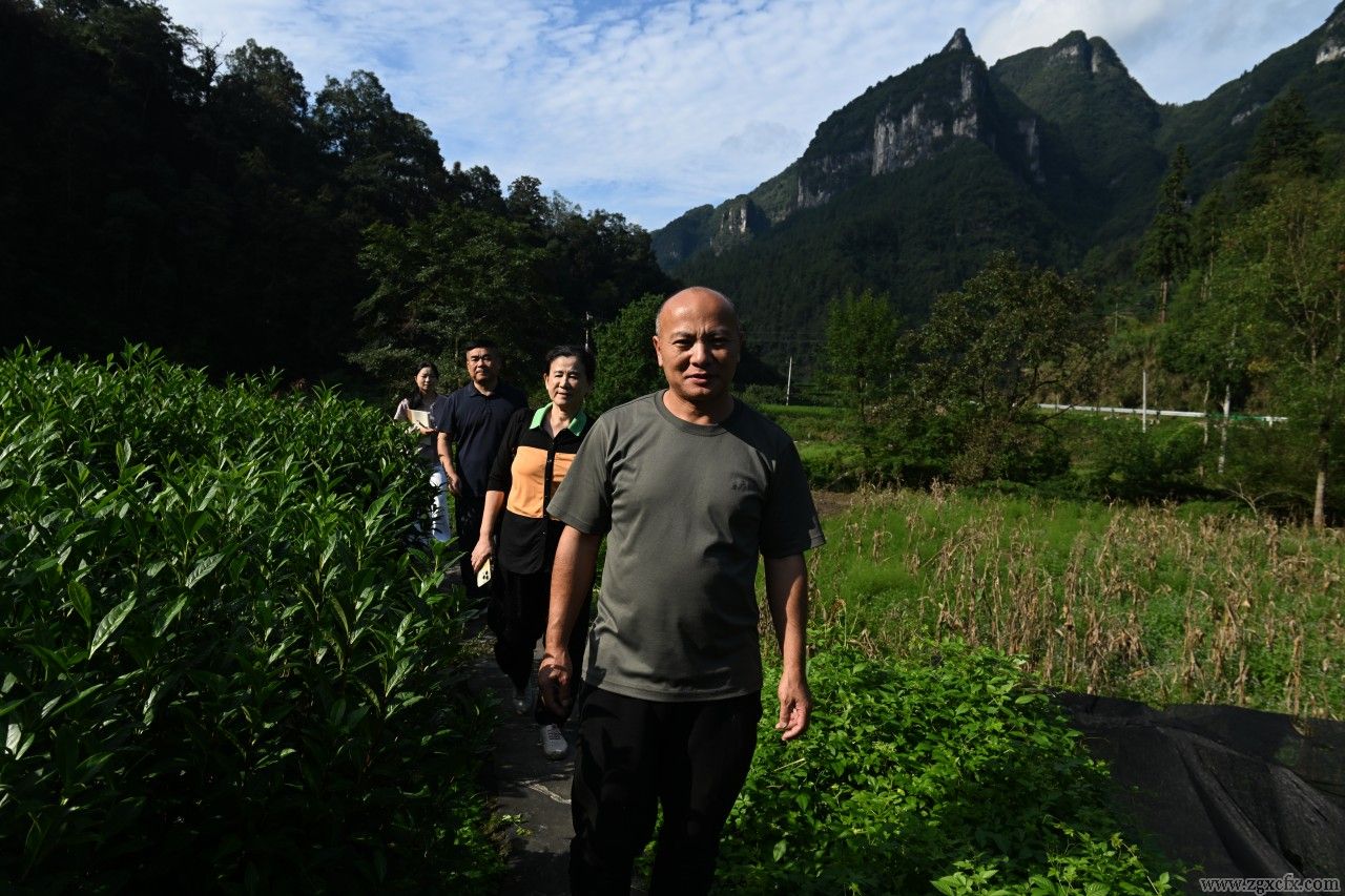 杨泰波:对农村调查的看法(图3)