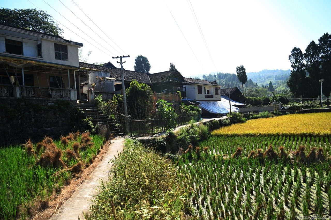 杨泰波:对农村调查的看法(图7)