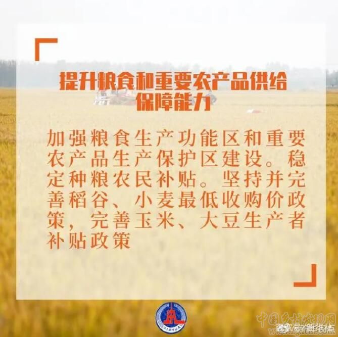 2021年中央一号文件有哪些硬举措？(图3)