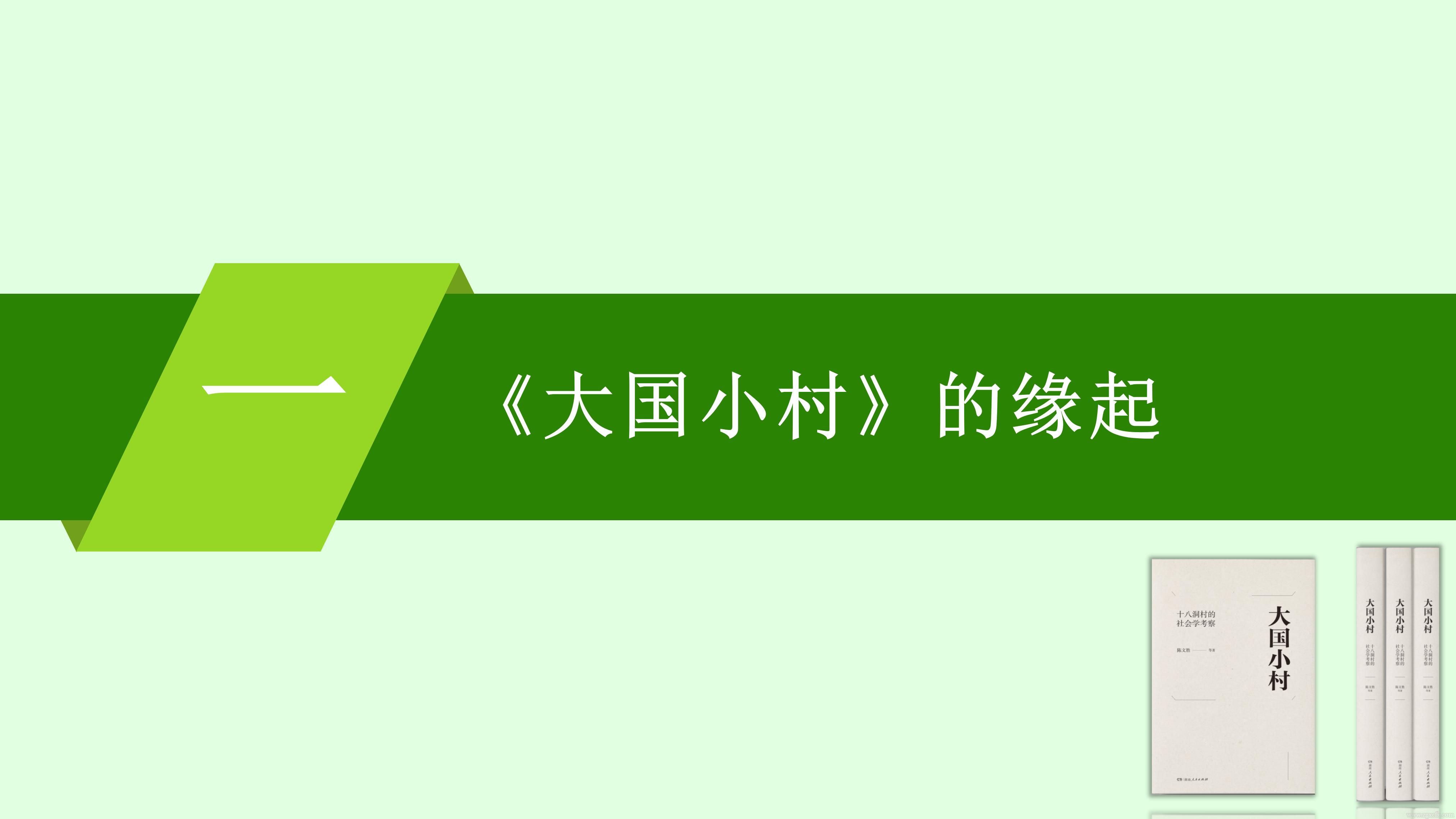 陈文胜：在《大国小村》出版座谈会上致发布词(图4)